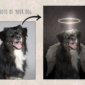 Pode incluir: Um c&atilde;o preto e branco com uma aur&eacute;ola e asas de anjo. O c&atilde;o est&aacute; sorrindo e olhando para cima. O fundo &eacute; cinza escuro.