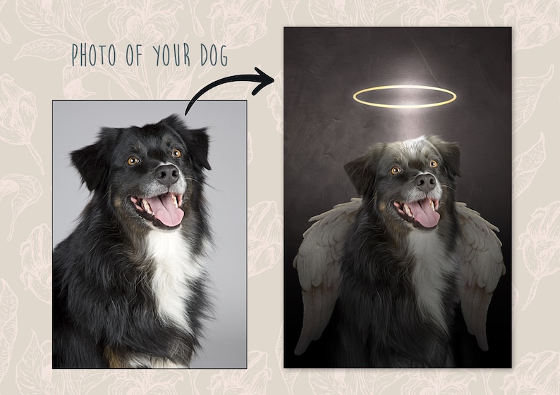 Pode incluir: Um c&atilde;o preto e branco com uma aur&eacute;ola e asas de anjo. O c&atilde;o est&aacute; sorrindo e olhando para cima. O fundo &eacute; cinza escuro.