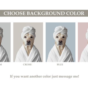 Pu&ograve; includere: Quattro immagini di un cane che indossa una vestaglia da bagno bianca e un asciugamano bianco sulla testa. Il cane &egrave; un Labrador Retriever. I colori di sfondo sono platino, crema, blu e rosa.
