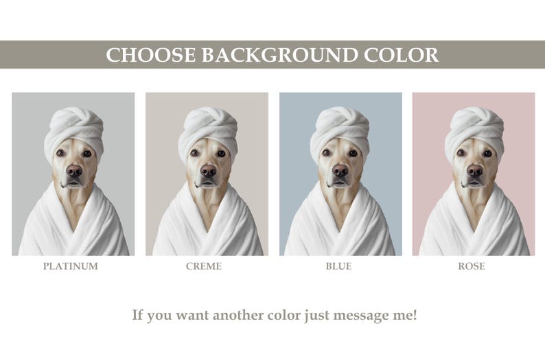 Pu&ograve; includere: Quattro immagini di un cane che indossa una vestaglia da bagno bianca e un asciugamano bianco sulla testa. Il cane &egrave; un Labrador Retriever. I colori di sfondo sono platino, crema, blu e rosa.