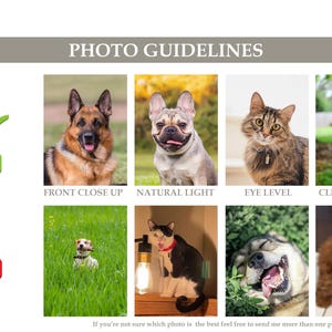 Pu&ograve; includere: Una guida per scattare buone foto di animali domestici per un sito web o i social media. La guida mostra esempi di foto buone e cattive. Le foto buone mostrano un pastore tedesco, un bulldog francese, un gatto e un husky. Le foto cattive mostrano un Jack Russell Terrier, un gatto, un cane e un barboncino.