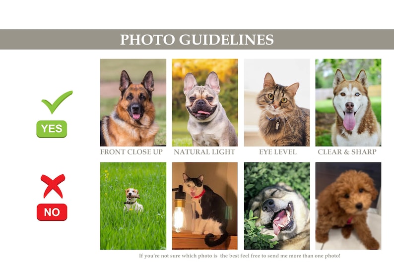 Pu&ograve; includere: Una guida per scattare buone foto di animali domestici per un sito web o i social media. La guida mostra esempi di foto buone e cattive. Le foto buone mostrano un pastore tedesco, un bulldog francese, un gatto e un husky. Le foto cattive mostrano un Jack Russell Terrier, un gatto, un cane e un barboncino.