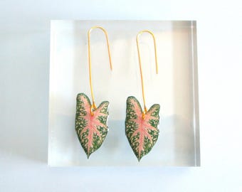 Leaf Earrings, Plant Jewelry, Heart of Jesus Leaf Earrings. Angel Wings, Caladium, Elephant Ears