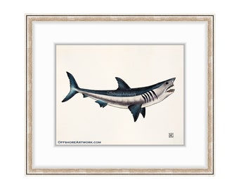 Mako Shark Giclee Print of a Watercolor Painting. Blue Pointer. Bonito Shark. Jaws. Shark Week. Shark Teeth. Shortfin. Longfin. Baby Shark