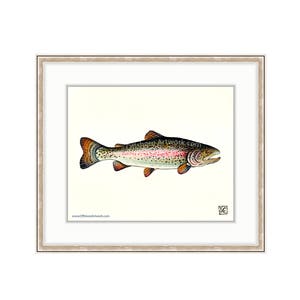 Rainbow Trout 8&quot;x10&quot; Giclee Print Of A Watercolor Painting. Fly Fishing Painting for Lake Trout, Speckled Trout, Brook Trout, Jumping Fish