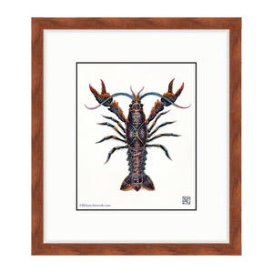 Crayfish Giclee Print of Watercolor Painting 8x10 for the Marine Life Lover. Crawfish & Crawdaddy Fans. Adorable Bait. Clam Bake. Fishing. image 2