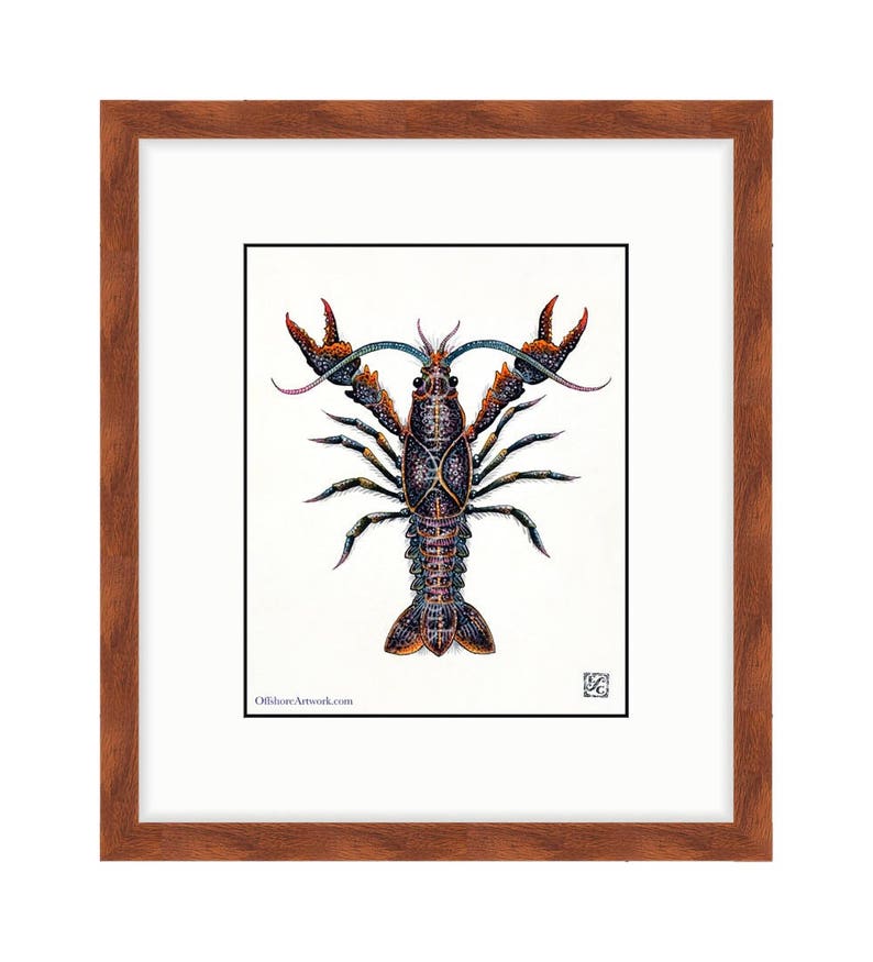 Crayfish Giclee Print of Watercolor Painting 8x10 for the Marine Life Lover. Crawfish & Crawdaddy Fans. Adorable Bait. Clam Bake. Fishing. image 2