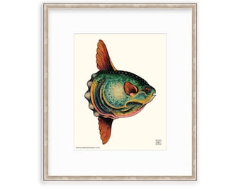 Ocean Sunfish 11"x14" Giclee Print Of A Watercolor Painting. Nautical Artwork of a Mola Mola, Sun Fish, Sea Life.