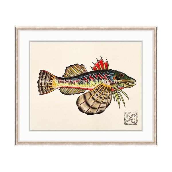 Sea Robin 11"x14" Giclee Print Of A Watercolor Painting for the Salt Water Angler. Gurnard Fish. Bottom Feeder.