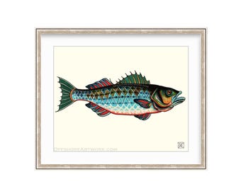 Striper Fish 11"x14" Giclee Print Of A Watercolor Painting For The Saltwater Angler. Striper Bass Painting. Rockfish Print.