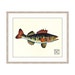 see more listings in the Marine Animal Prints section