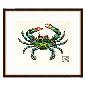 May include: A framed illustration of a blue crab with green, orange, and yellow details. The crab is depicted in a realistic style with intricate markings and a detailed shell. The artwork is signed "EC" in the bottom right corner.