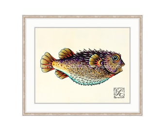 Puffer Fish/Blowfish 11"x14" Giclee Print Of A Watercolor Painting For The Saltwater Angler. Burr Fish. Toad Fish. Balloon Fish. Purple Fish