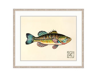 Large Mouth Bass 11"x14" Giclee Print of Watercolor Painting