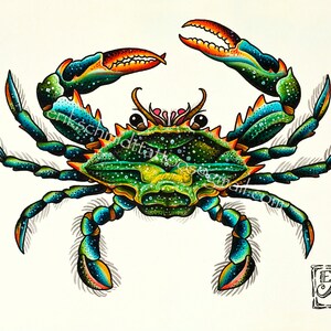 May include: A hand-painted illustration of a green crab with blue and orange accents. The crab has hairy legs and is depicted on a white background.