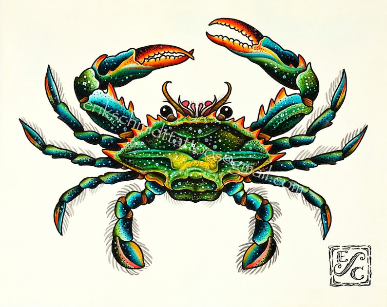 May include: A hand-painted illustration of a green crab with blue and orange accents. The crab has hairy legs and is depicted on a white background.