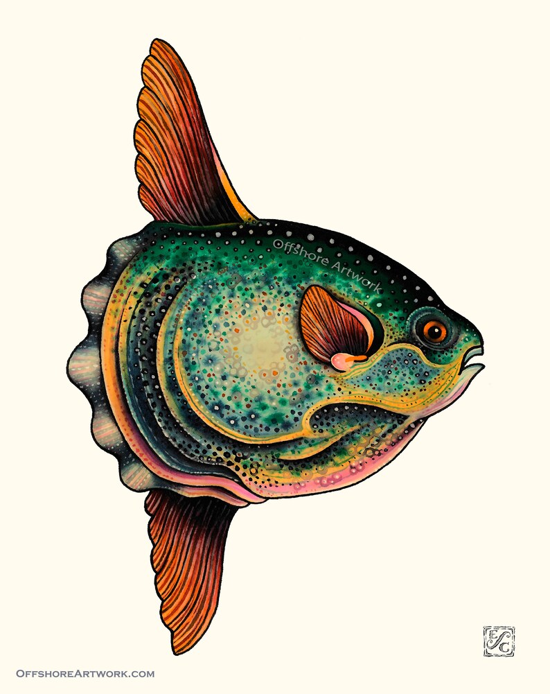 Ocean Sunfish 11x14 Giclee Print of A Watercolor Etsy UK