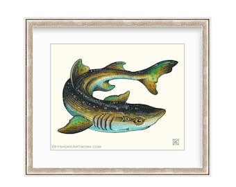 Dogfish 8"x10" Giclee Print Of A Watercolor Painting. Saltwater Angler, Sport Fishing. Dog Sharks. Spiny Dogfish.