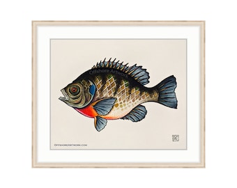 Bluegill Giclee Print of a Watercolor Painting 8"x10" for the Freshwater Angler. Sunfish. Bream. Brim Fish. LCopper Nose Fish. Lake Fishing.