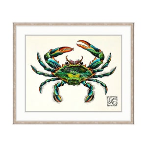 May include: A framed illustration of a blue crab with green, orange, and yellow details. The crab is depicted in a realistic style with intricate markings and a detailed shell.