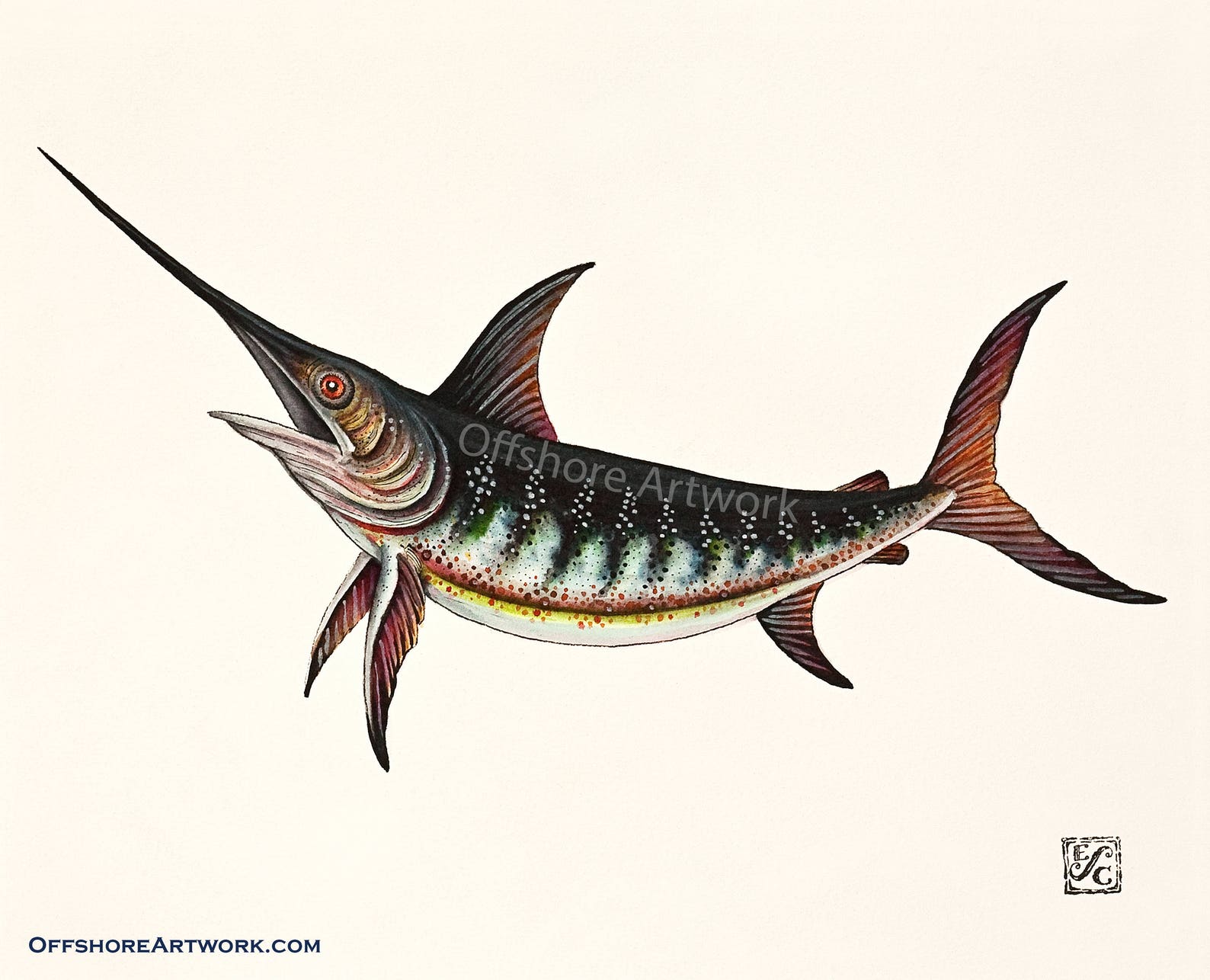Swordfish Giclee Print of a Watercolor Painting for the Etsy