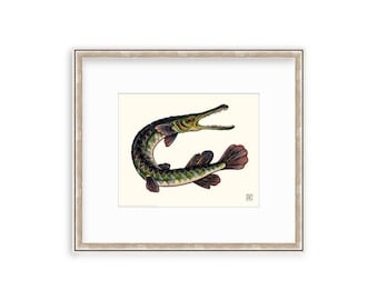 Gar Fish 8"x10" Giclee Print Of A Watercolor Painting. Freshwater Art of an Alligator Garfish.