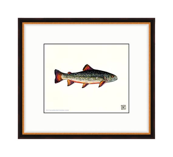 Brook Trout 8x10 Giclee Print of A Watercolor Painting for the