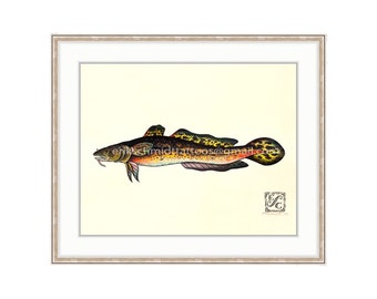 Burbot 11"x14" Giclee Print Of A Watercolor Painting For The Freshwater Angler. Bubbot, Freshwater Ling, Cone y Fish, Lingcod, Cusk, Eelpout