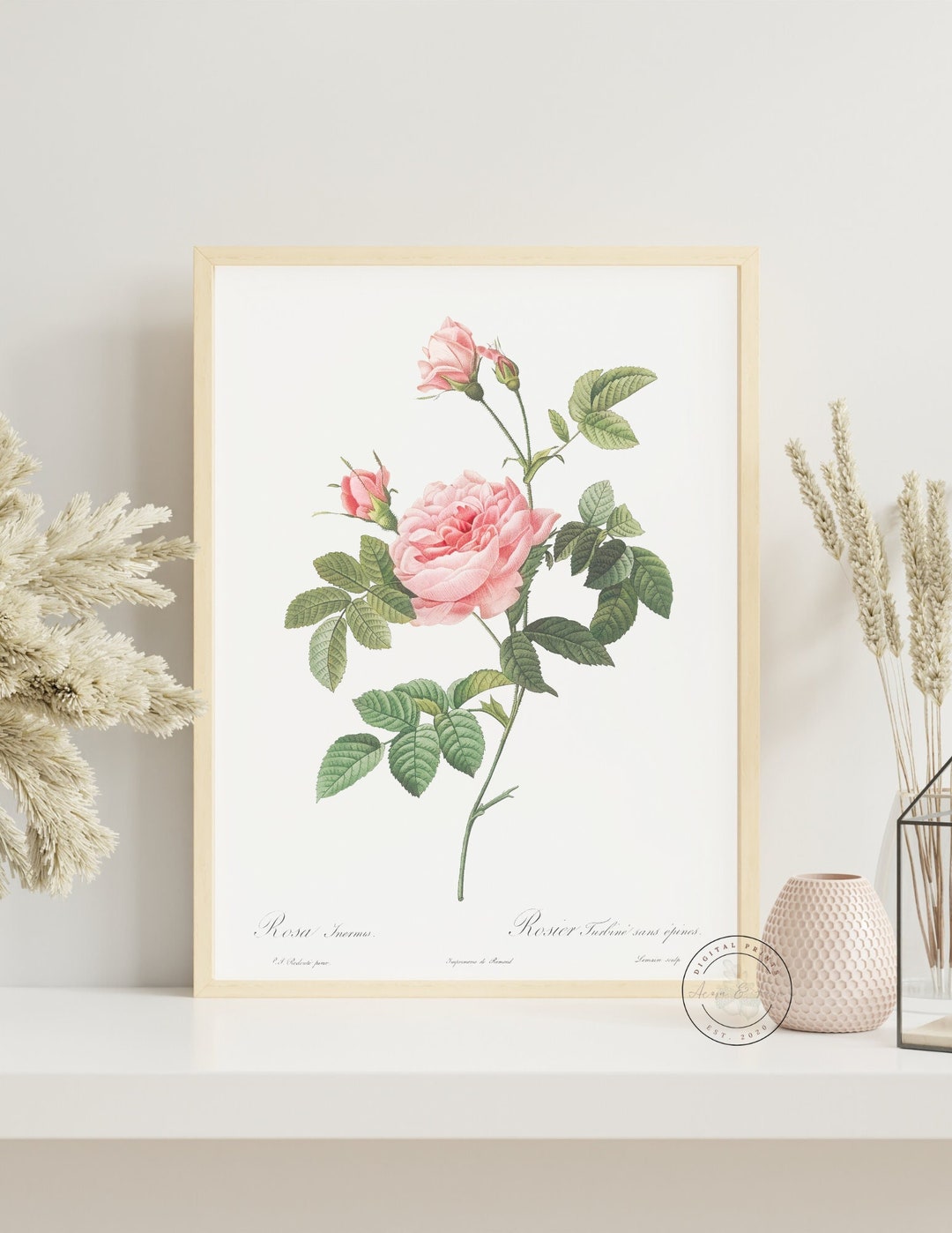 Blush Pink Vintage Rose PRINTABLE Wall Art Digital Print Blush Rose ...