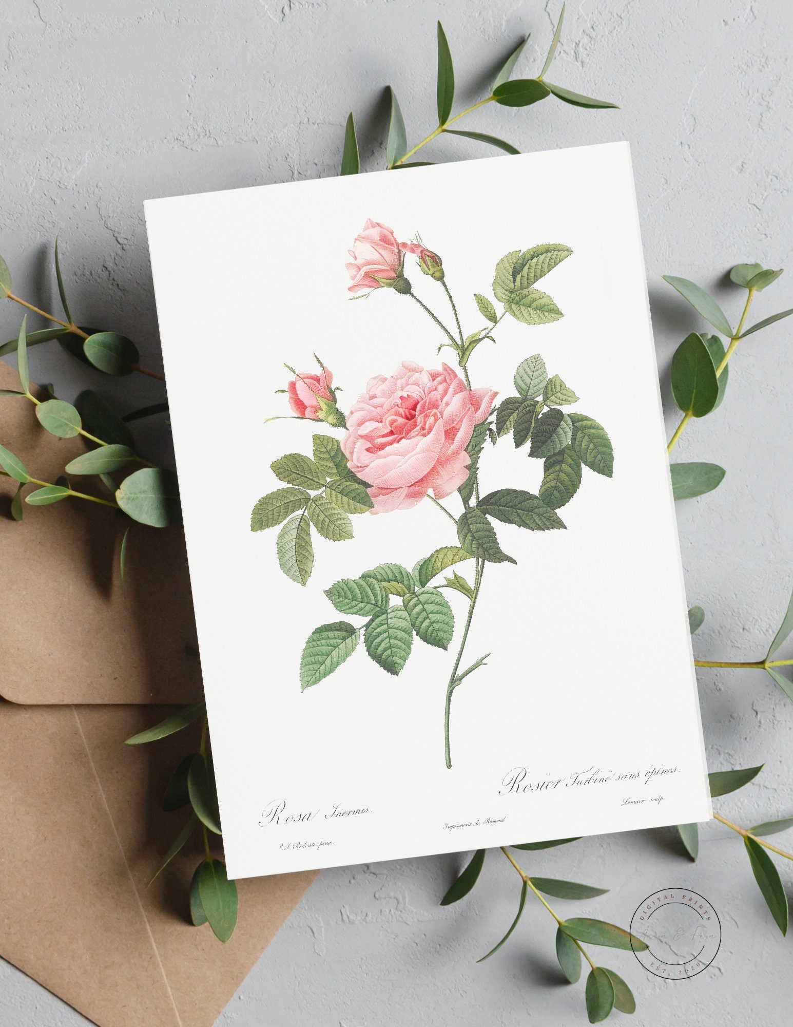Blush Pink Vintage Rose PRINTABLE Wall Art Digital Print Blush Rose ...