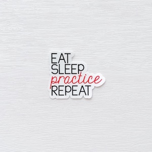 Sticker for music teacher, glossy sticker, gift for music teacher, Eat Sleep practice Repeat