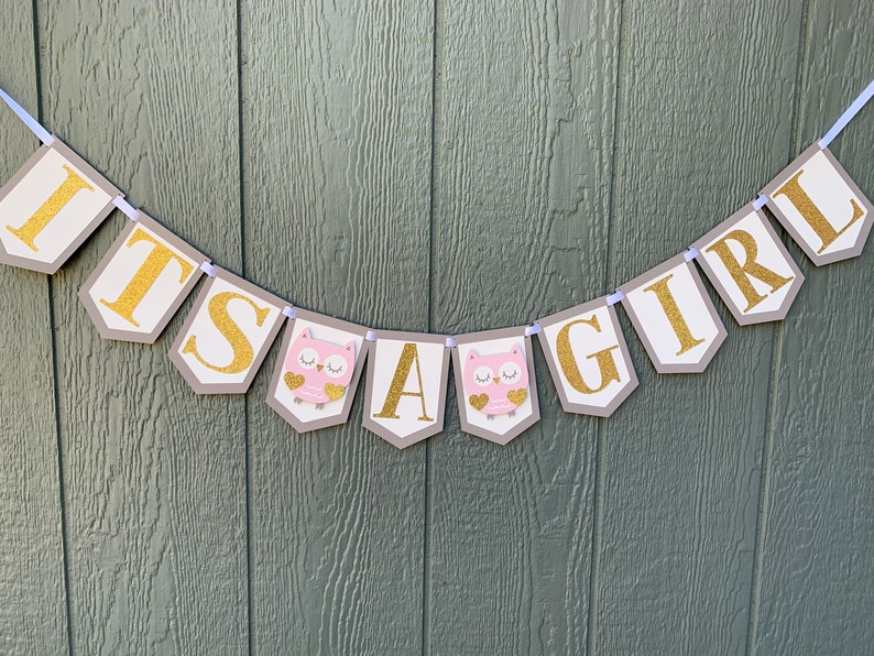 Its a Girl Blush Pink Owl Banner Owl Banner Pink Baby - Etsy