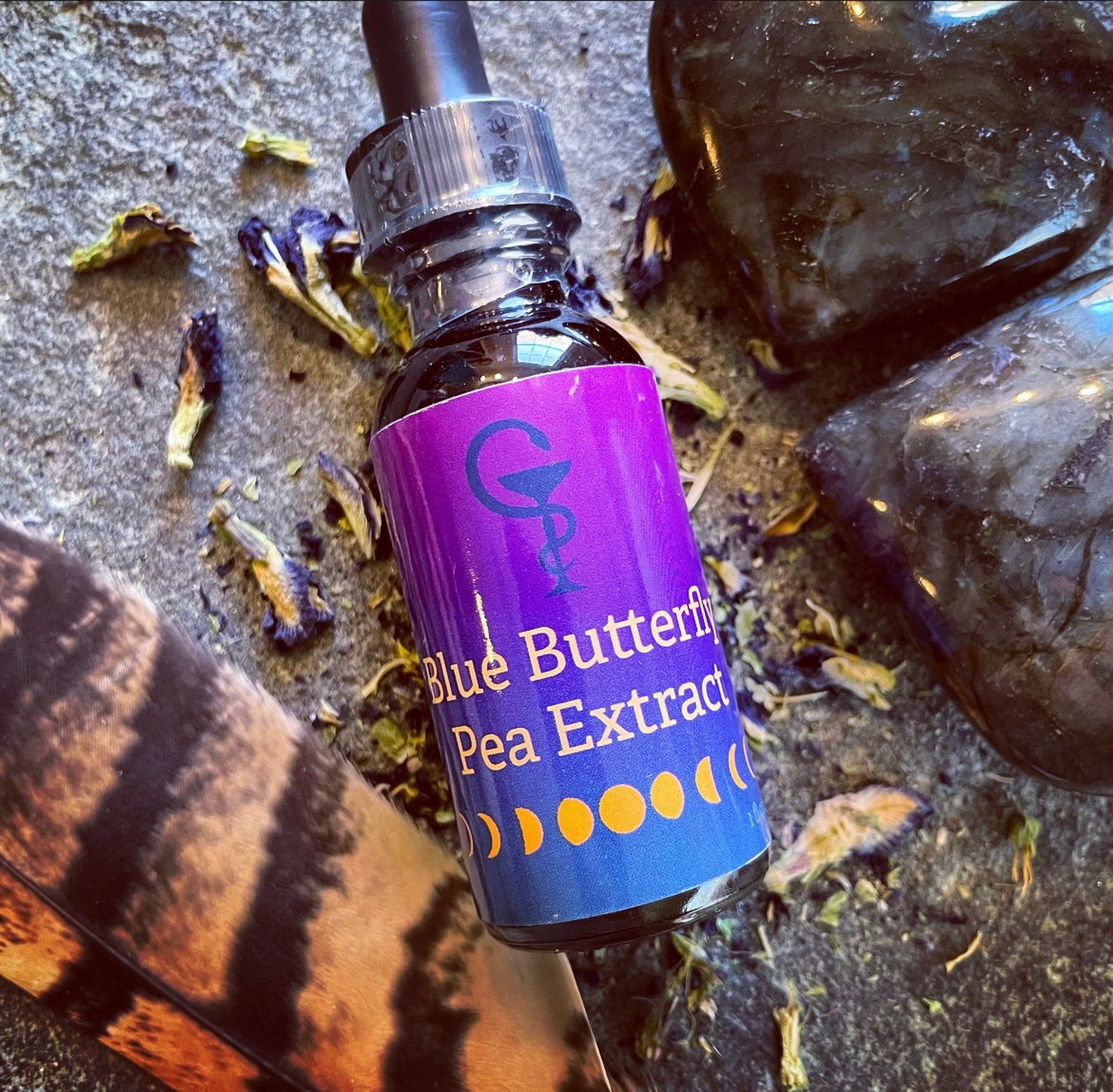 Butterfly Pea Flower Extract Etsy
