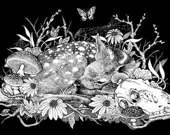 Sleeping Fawn Giclée Print - 8.5 x 11 archival print, Deer,  Woodland, Pen and Ink