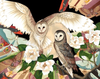 フクロウと蛾のジクレープリント - 11 x 14 アーカイブプリント、メンフクロウ、モクレン、蛾
