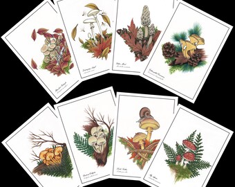Mushroom Postcard Set- Wild Mushrooms, Stationary, Postcard Set, Nature Postcards, Hand-Drawn Postcards, Nature Gift, Shrooms, Cute Postcard