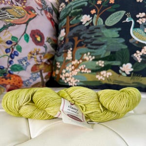 Destash Sale! Dream in Color Classy with Cashmere Worsted Yarn (47 K. Chameleon)