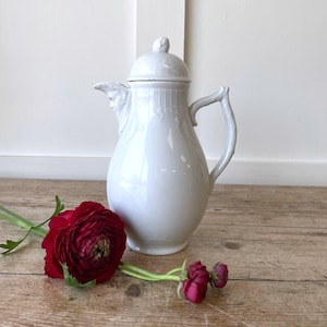 May include: A white porcelain coffee pot with a lid, featuring a curved handle and a spout adorned with a molded face detail. The pot has a smooth, glossy finish and is accompanied by a deep red ranunculus flower with green stems and leaves.