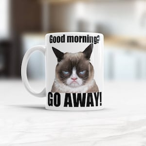 Good Morning Go Away, Funny rude mug, Hilarious Cat Gift for Birthday, Gift for boss, coffe mugs with sayings