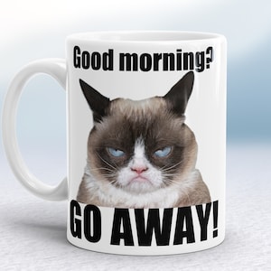 Cranky Cat Mug Good Morning - Go away! Funny rude mug Hilarious Funny Cat Mug, Gift for Birthday, for Boss