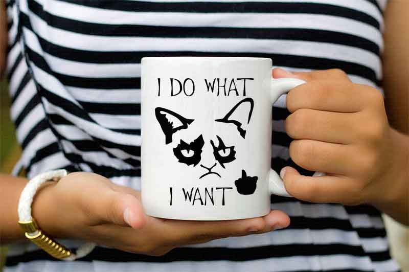I Do What I Want Mug Cat Coffee Cup Cat Humor Great Cat Lover - Etsy