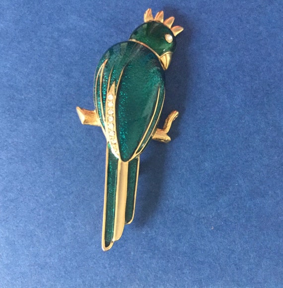 Parrot brooch