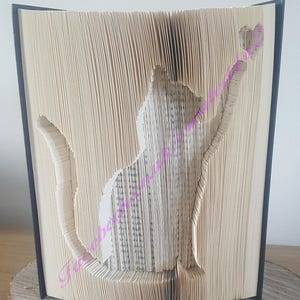 Cut & Fold Book Folding Pattern Unique Gift CAT With HEART Book Art 521 Pages With Instructions **Instant Download**