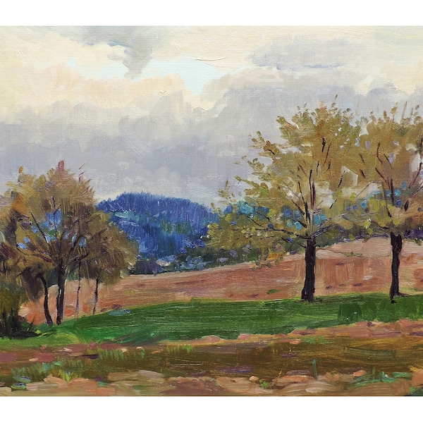 VINTAGE FELDER LANDSCHAFT Öl original Gemälde von M.Chaliy, Bäume, Waldlandschaft, Wolken, Himmel, Impressionismus, 1962