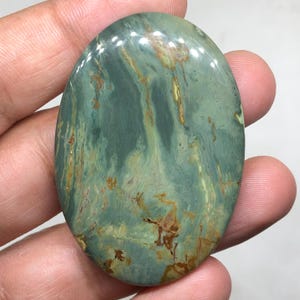 Larsonite | Gary Green Jasper Cabochon Gemstone, 55x38x5mm 97.50 Cts