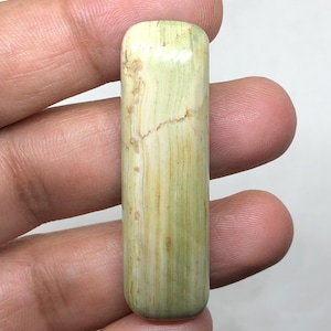 Larsonite | Gary Green Jasper Cabochon Gemstone, 52x15x8mm 54.85 Cts