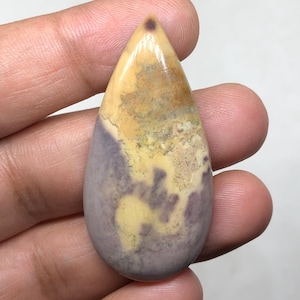 Larsonite | Gary Green Jasper Cabochon Gemstone, 50x24x6mm 51.80 Cts