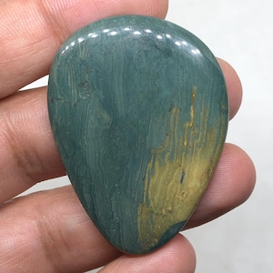 Larsonite | Gary Green Jasper Cabochon Gemstone, 49x37x5mm 79.95 Cts