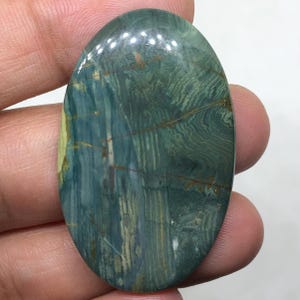 Larsonite | Gary Green Jasper Cabochon Gemstone, 45x28x6mm 59.55 Cts