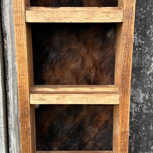 Trophy buckle case